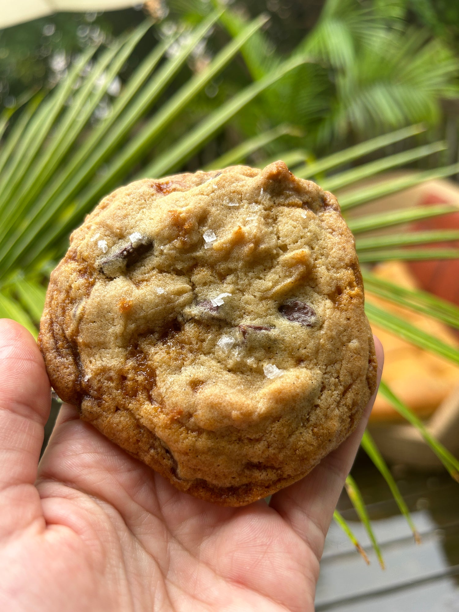 Chocolate Chip Cookie with Miso Shiitake Caramel Swirl