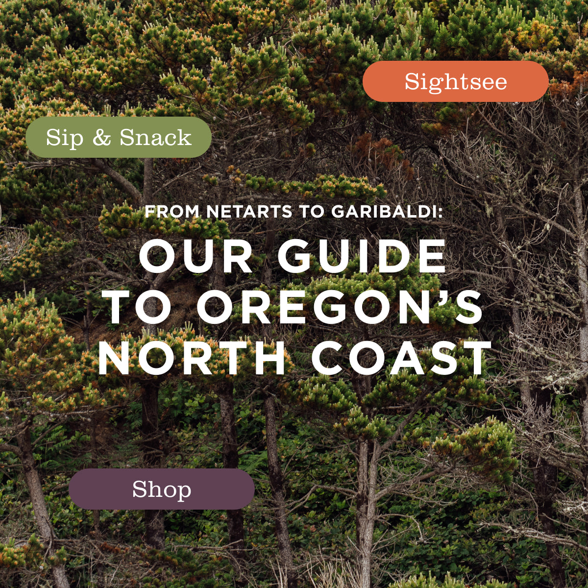 From Netarts to Garibaldi: Our Guide to Oregon's North Coast