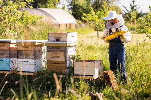 9-Course Spiel: Emily Schmiedel, Jacobsen's lead beekeeper