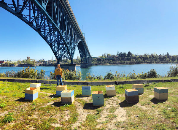 Introducing our Portland Riverfront Apiary!